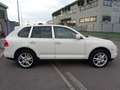 Porsche Cayenne 3.6 *FINANZIABILE* *PCM* *CERCHI 20"* *XENO* Blanc - thumbnail 15