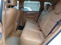 Porsche Cayenne 3.6 *FINANZIABILE* *PCM* *CERCHI 20"* *XENO* Blanc - thumbnail 7