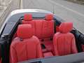 BMW 220 220i Cabrio Advantage auto my18 Grigio - thumbnail 7
