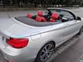 BMW 220 220i Cabrio Advantage auto my18 Grigio - thumbnail 14