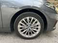 BMW 140 SERIE 218i 140 Luxury -1ère MAIN- Grau - thumbnail 19