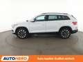 Skoda Kodiaq 1.5 TSI ACT Drive 125*NAVI*360*ACC* Weiß - thumbnail 3