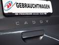 Volkswagen Caddy Caddy Grau - thumbnail 12