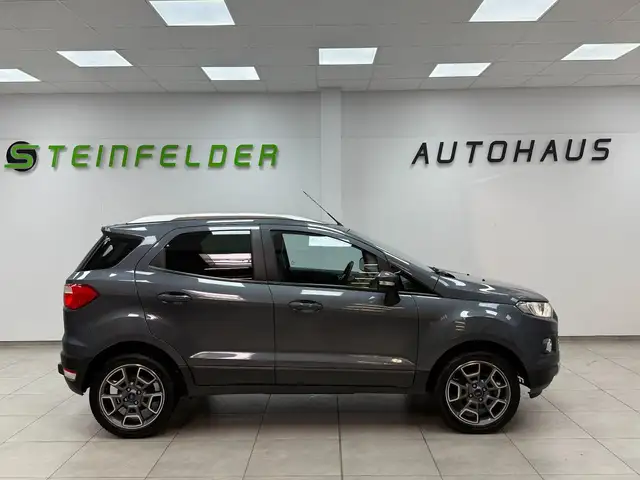 Ford Ecosport view 8
