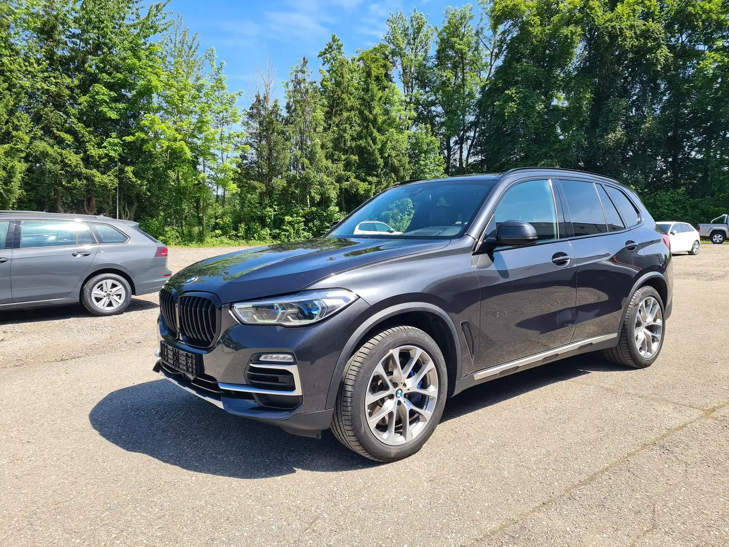 BMW X5 xDrive 30d xLine AHK Innovation StHeiz Pano Grijs - 1