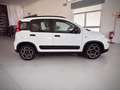 Fiat Panda 1.0 FireFly S&S Hybrid City Life Wit - thumbnail 5