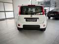 Fiat Panda 1.0 FireFly S&S Hybrid City Life Wit - thumbnail 7