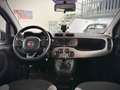 Fiat Panda 1.0 FireFly S&S Hybrid City Life Wit - thumbnail 14