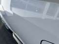 Volkswagen 2.0 TDI L1H1 Airco 9 persoons Combi  Personenbus B Blanc - thumbnail 38