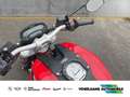 Ducati Monster 796 Rosso Red, Kurzer Kennzeichenhalter, Rouge - thumbnail 7