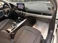 Audi A4 40 2.0 tfsi mhev Business 204cv s-tronic Bianco - thumbnail 16