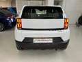 Fiat Grande Panda 1.2 hybrid Icon 110cv edct PACK TECH Km Zero Blanc - thumbnail 7
