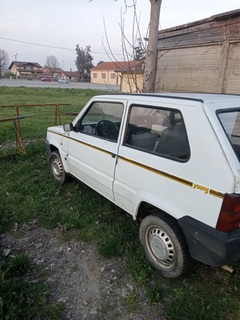 Fiat Panda Yang 750 Wit - 1