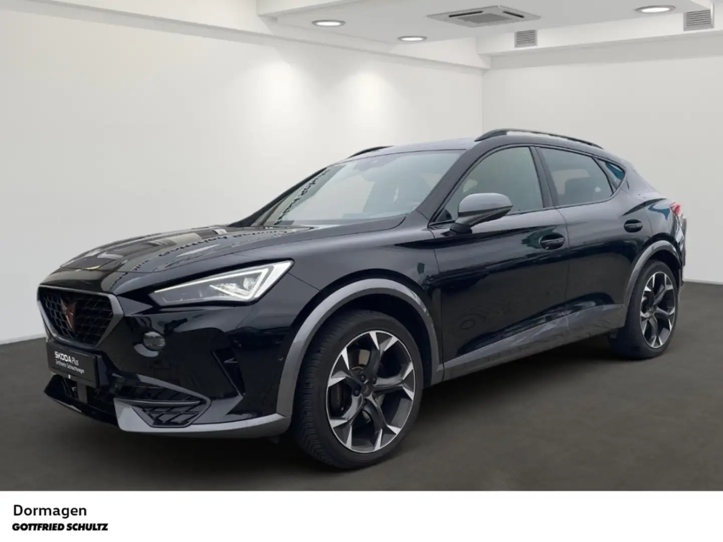 CUPRA Formentor VZ 2.0 TSI DSG AHK PANO MATRIX NAVI Noir - 1