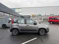 Fiat Panda City Life 1.0 Mild Hybrid DAB Berganfahrass. Klima Grau - thumbnail 6