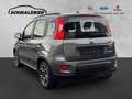 Fiat Panda City Life 1.0 Mild Hybrid DAB Berganfahrass. Klima Grau - thumbnail 3
