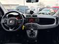 Fiat Panda City Life 1.0 Mild Hybrid DAB Berganfahrass. Klima Grau - thumbnail 11