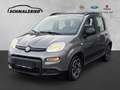 Fiat Panda City Life 1.0 Mild Hybrid DAB Berganfahrass. Klima Grau - thumbnail 1