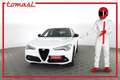 Alfa Romeo Stelvio ALFA ROMEO Stelvio 2.2 Turbodiesel 150 CV AT8 RWD Weiß - thumbnail 1
