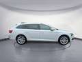 Skoda Superb Combi 2,0 TDI DSG Weiß - thumbnail 6