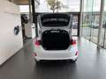 Ford Fiesta ST-LINE BENZINE PANORAMISCH OPEN DAK Blanc - thumbnail 6