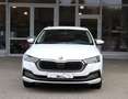 Skoda Octavia 1.4 TSI Style DSG / HEAD-UP / ACC / LED Weiß - thumbnail 11