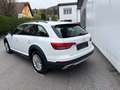 Audi A4 allroad 2.0 TDI Quattro Weiß - thumbnail 5