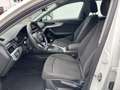 Audi A4 allroad 2.0 TDI Quattro Weiß - thumbnail 8