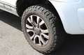 Ford Ranger XLT Extrakabine 4x4 Wiltrak Räder Höherle Weiß - thumbnail 8