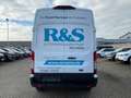 Ford Transit Kasten 350 L3 H3 Trend 2.0 TDCi Weiß - thumbnail 5
