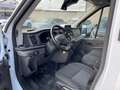 Ford Transit Kasten 350 L3 H3 Trend 2.0 TDCi Weiß - thumbnail 7
