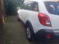 Opel Antara 2.4 Selection White - thumbnail 3