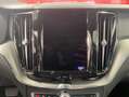 Volvo XC60 XC60 B5 B AWD Plus Black Edition Stdhzg*Pano Schwarz - thumbnail 12