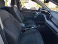 Volkswagen Golf VIII 2020 1.5 etsi evo Style 130cv dsg Zilver - thumbnail 24