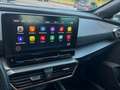 CUPRA Formentor Matt grau LED Sitzheizung app connect Gris - thumbnail 14