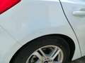 Ford Focus Focus 1.0 Ecoboost Trend  125 Trend Blanco - thumbnail 8