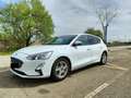 Ford Focus Focus 1.0 Ecoboost Trend  125 Trend Blanco - thumbnail 6