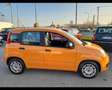 Fiat New Panda 1.0 FireFly Hybrid Oranžová - thumbnail 5