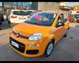 Fiat New Panda 1.0 FireFly Hybrid Oranje - thumbnail 1