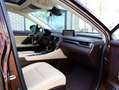 Lexus RX 450h 4WD President Line | Mark Levinson | Panoramdak | Marrone - thumbnail 11