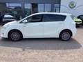 Toyota Verso 1.8 Edition-S 5-Sitz KAMERA*TEMP*KLIMA*SHZ Weiß - thumbnail 6