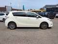 Toyota Verso 1.8 Edition-S 5-Sitz KAMERA*TEMP*KLIMA*SHZ Weiß - thumbnail 4