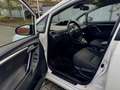 Toyota Verso 1.8 Edition-S 5-Sitz KAMERA*TEMP*KLIMA*SHZ Blanc - thumbnail 11
