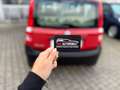 Fiat Panda 1.1 8V Active*78.064 Km*Neue Inspektion* Rouge - thumbnail 18