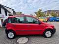 Fiat Panda 1.1 8V Active*78.064 Km*Neue Inspektion* Rouge - thumbnail 5