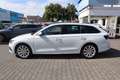 Skoda Octavia Octavia Combi 1.4 TSI iV DSG Style|AHK|NAVI|SHZ - thumbnail 10
