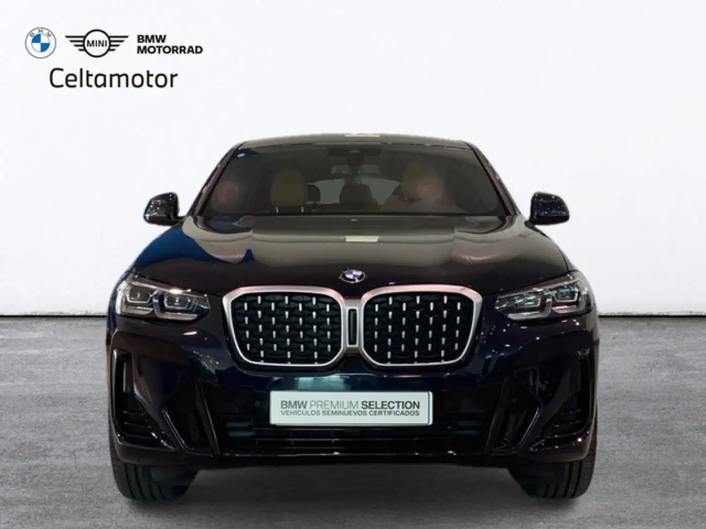 BMW X4 xDrive 20dA xLine Schwarz - 2