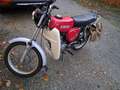 Simson S 50 Rouge - thumbnail 6
