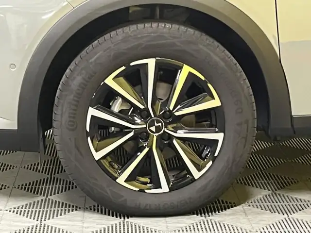 DS Automobiles DS 3 Crossback view 6