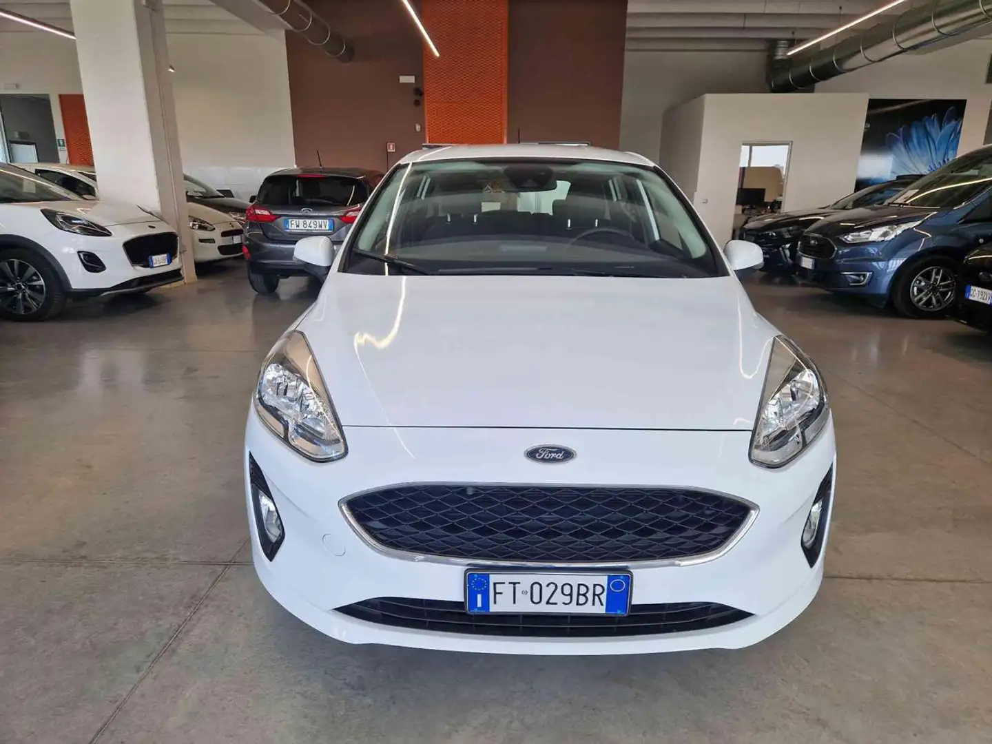 Ford Fiesta 1.1 5 porte Plus Bianco - 2